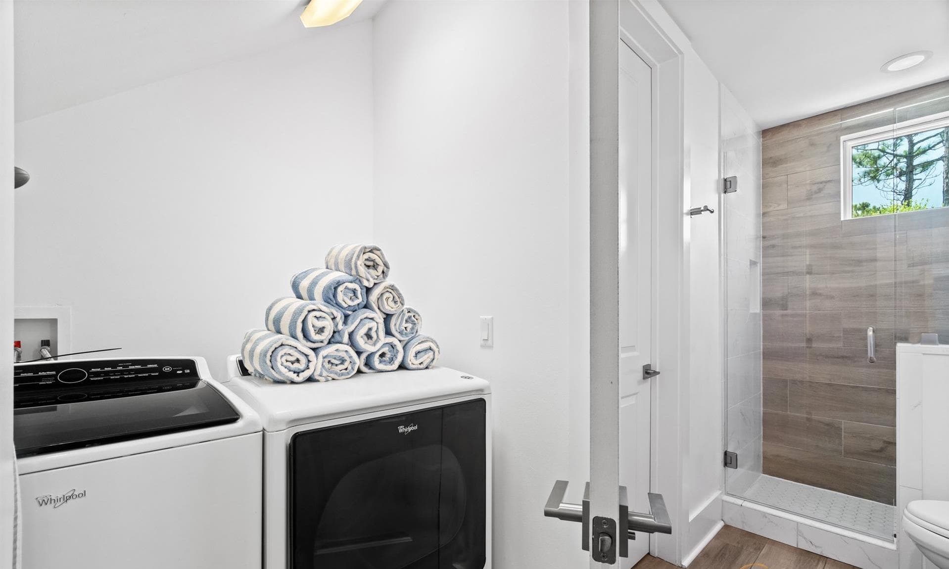 Sea Dreaming - Image 17