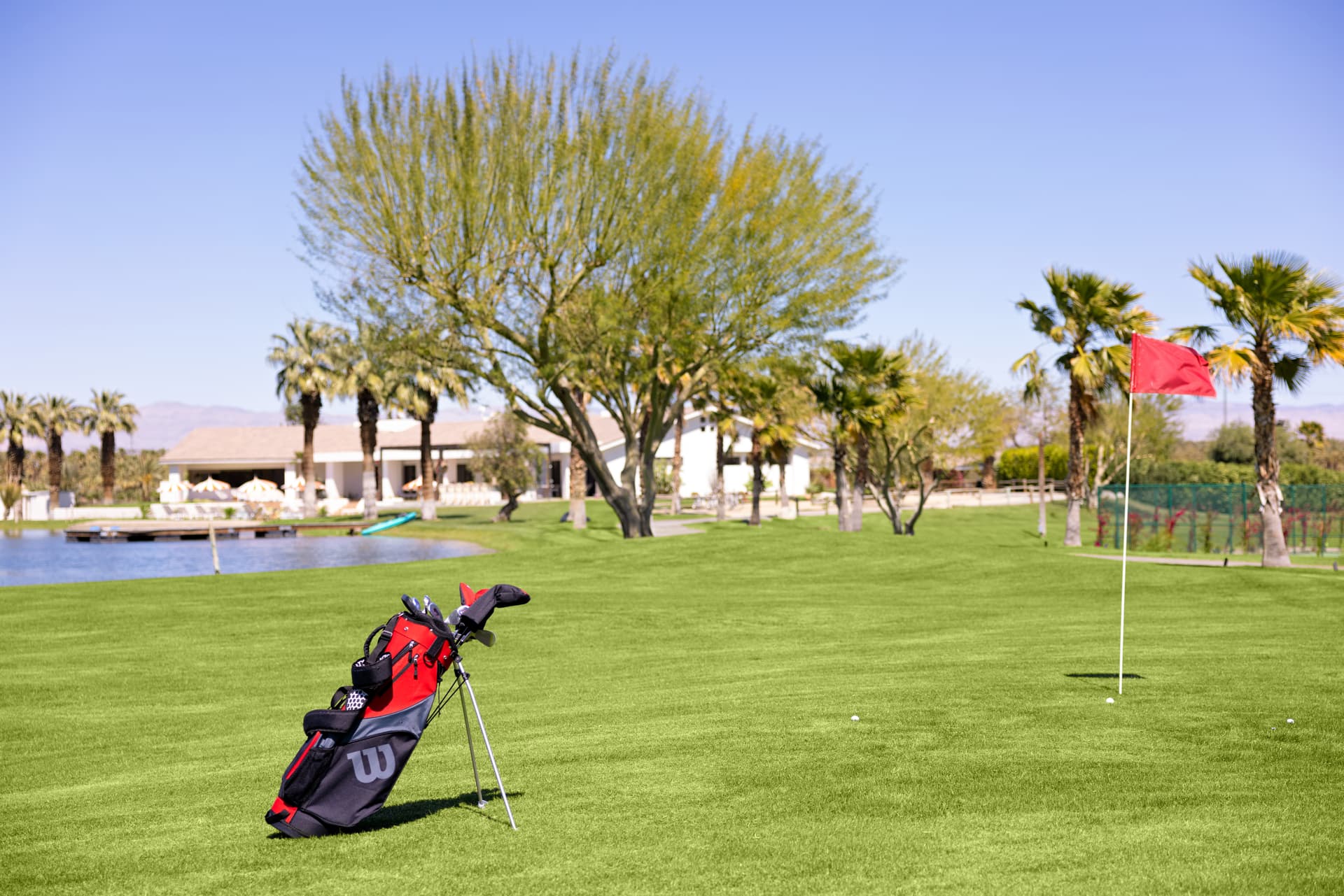 Buena Vista - Image 52