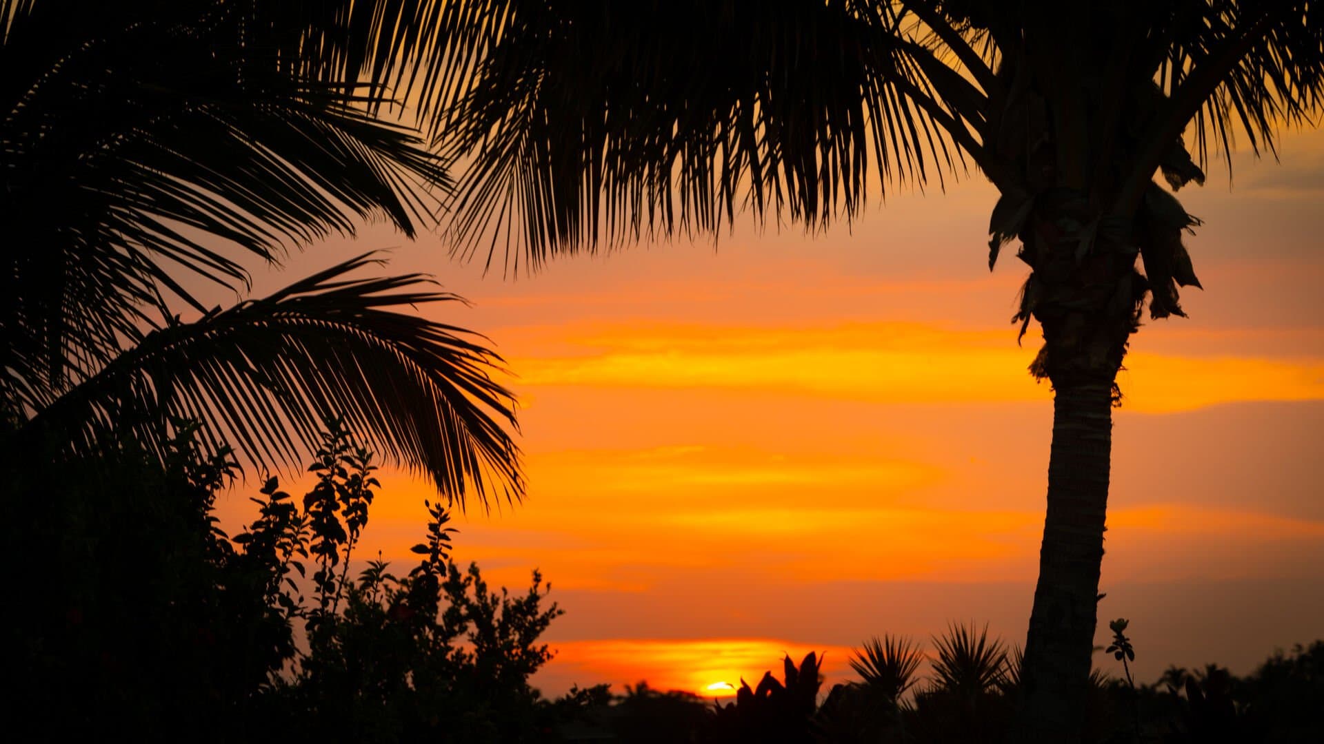 Starry Nights - Image 46