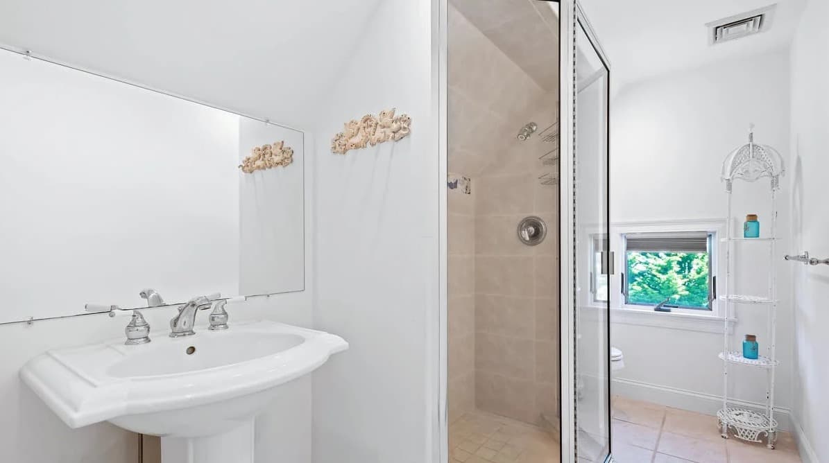 Chatham Bog - Image 29