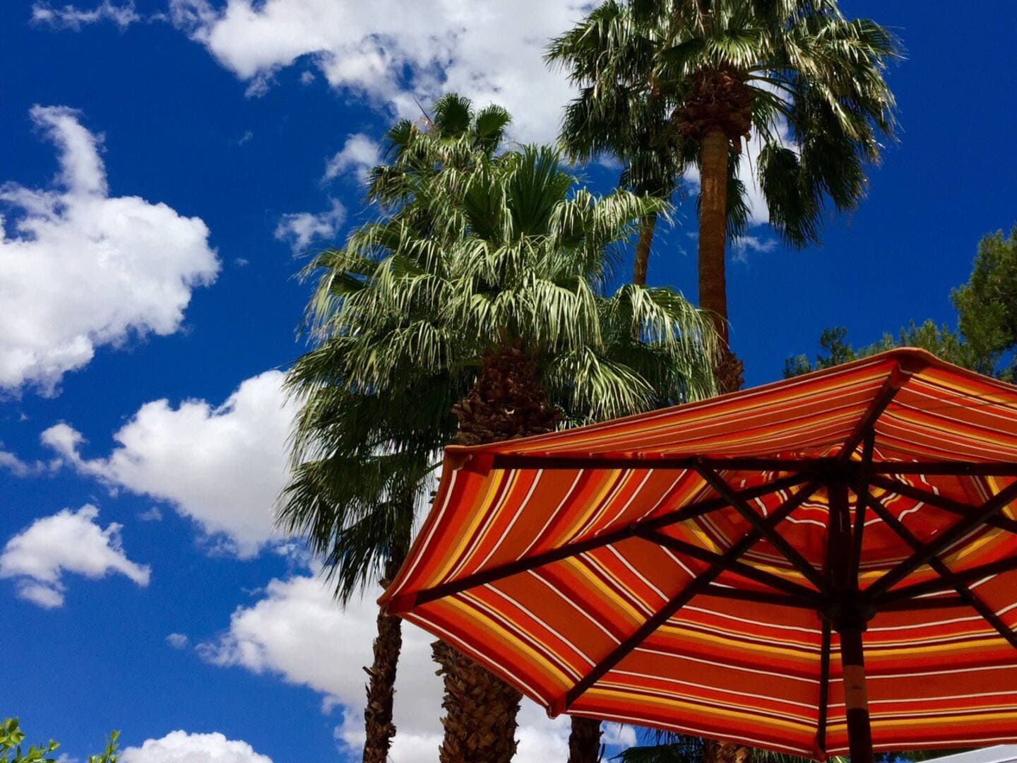 The Popsicle House - Image 37