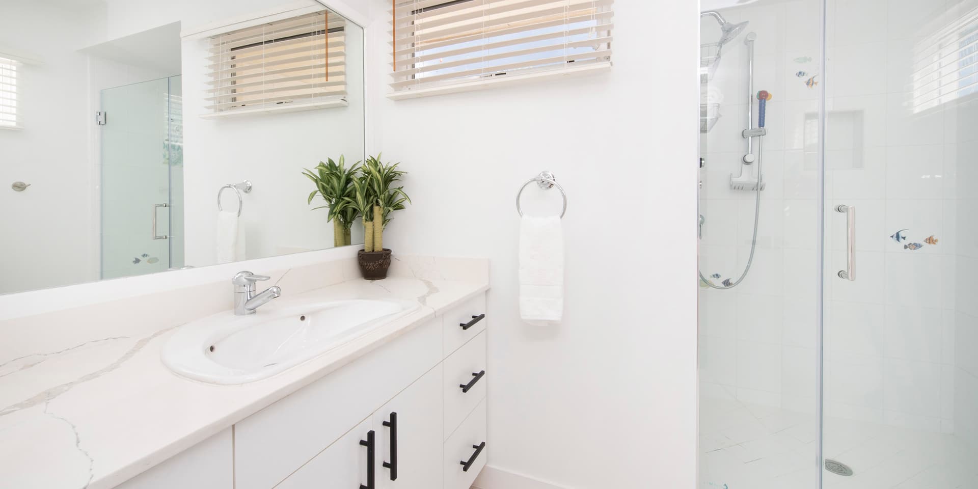 Coral Haven - Image 29