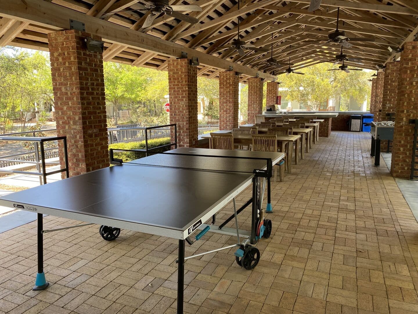 Longleaf Pines - Image 38