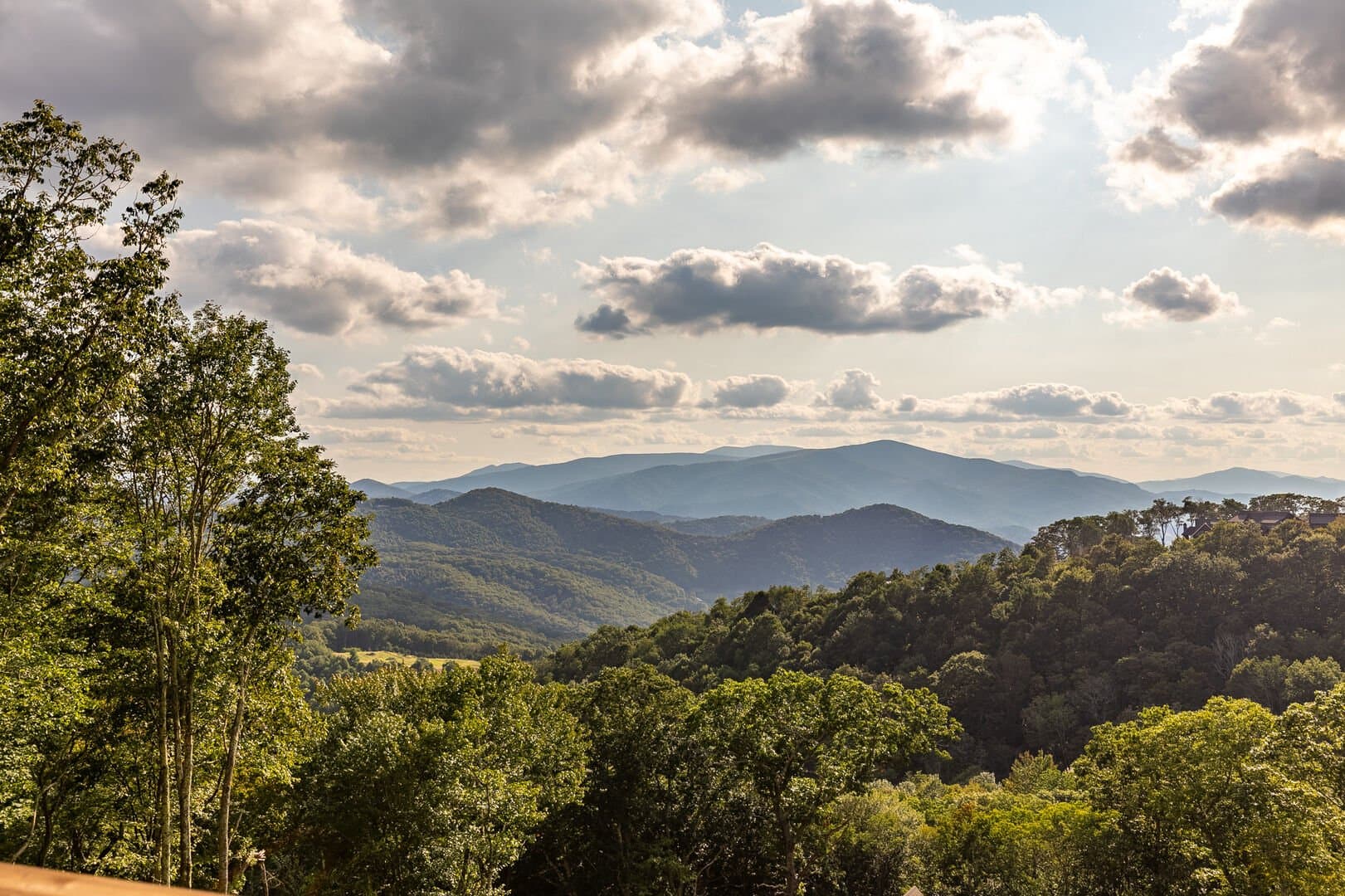 Up and Away - Image 17