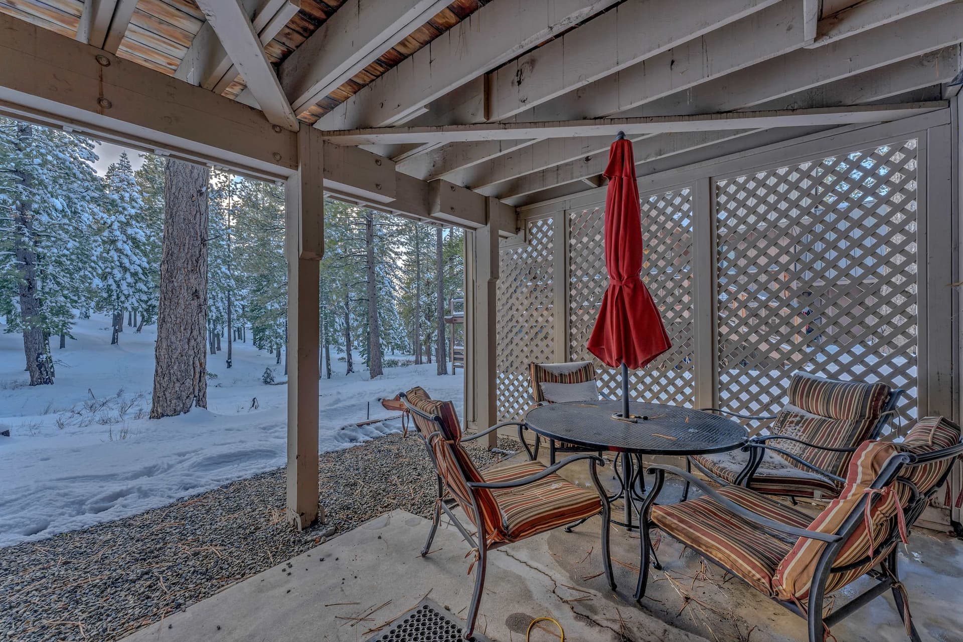 Lazy Bear - Image 29