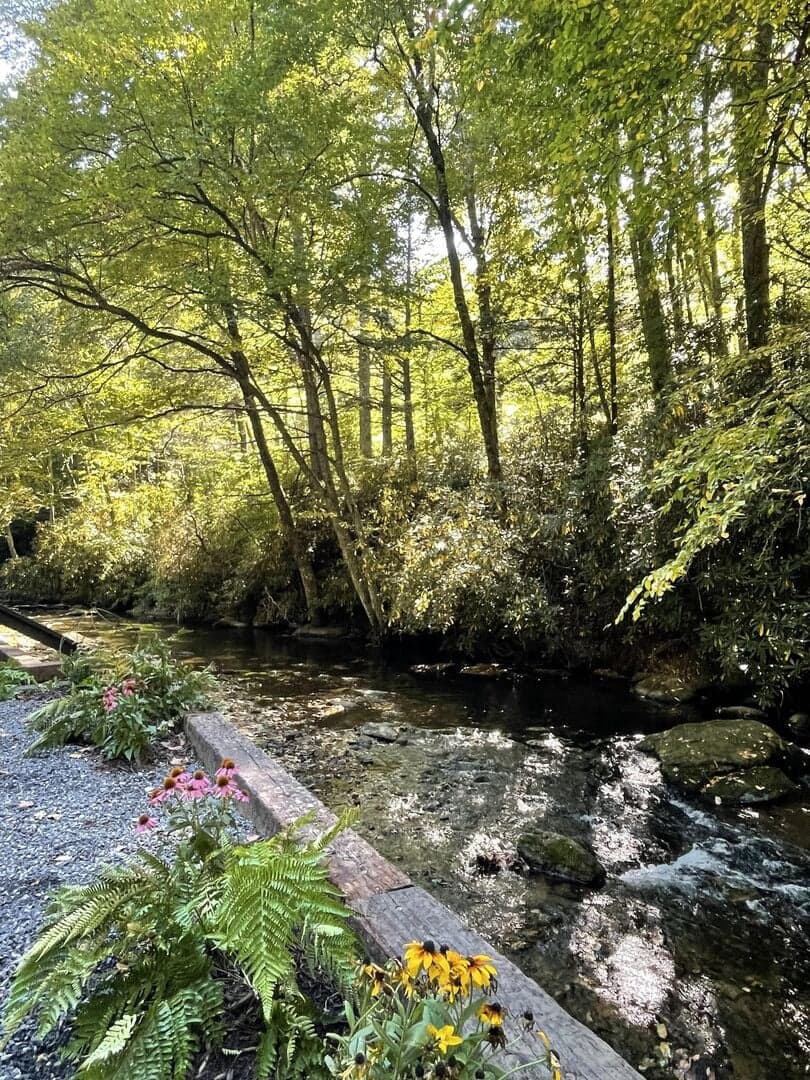 Anglers Cottage - Image 24