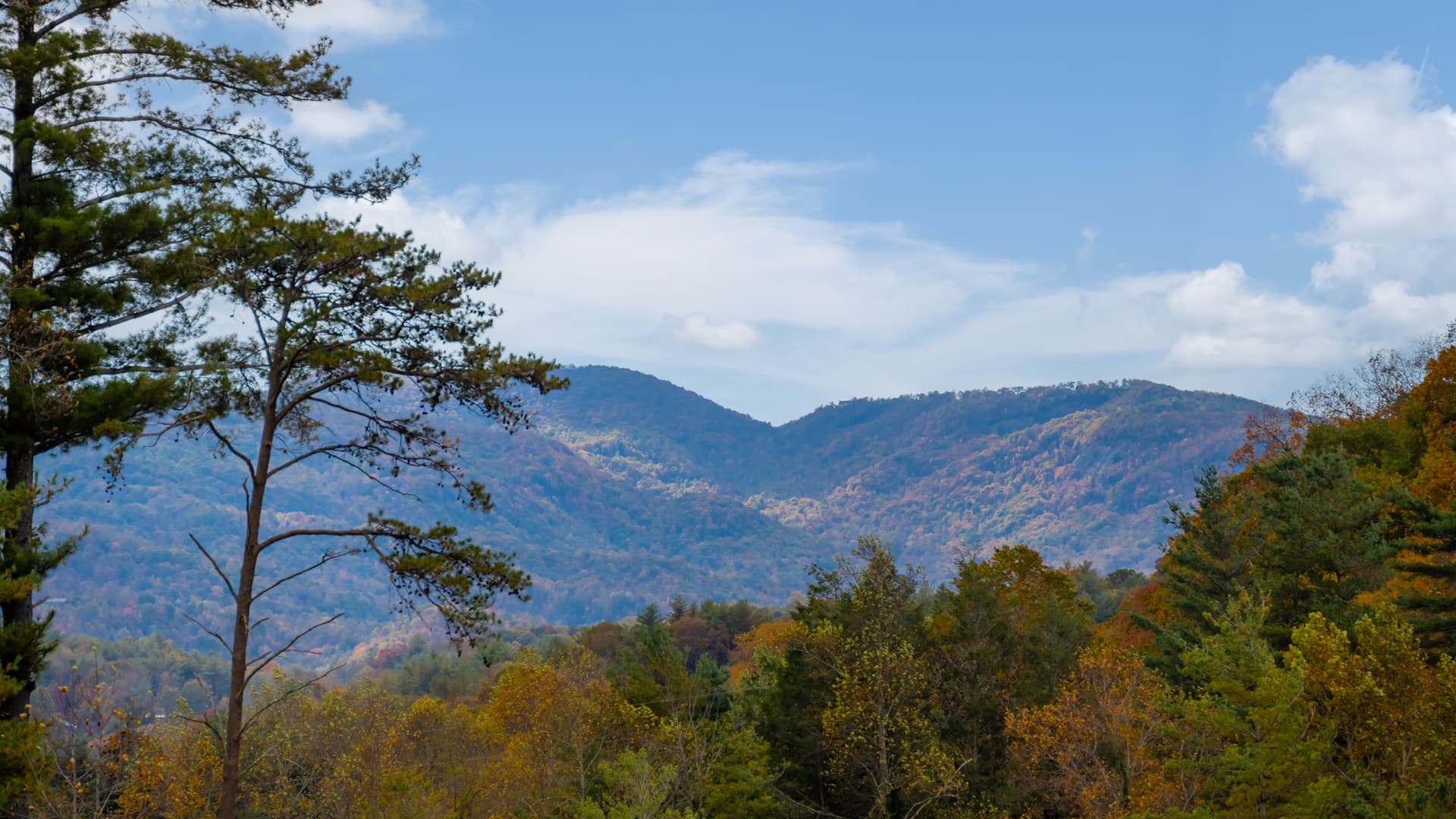 Duncan Home - Image 7