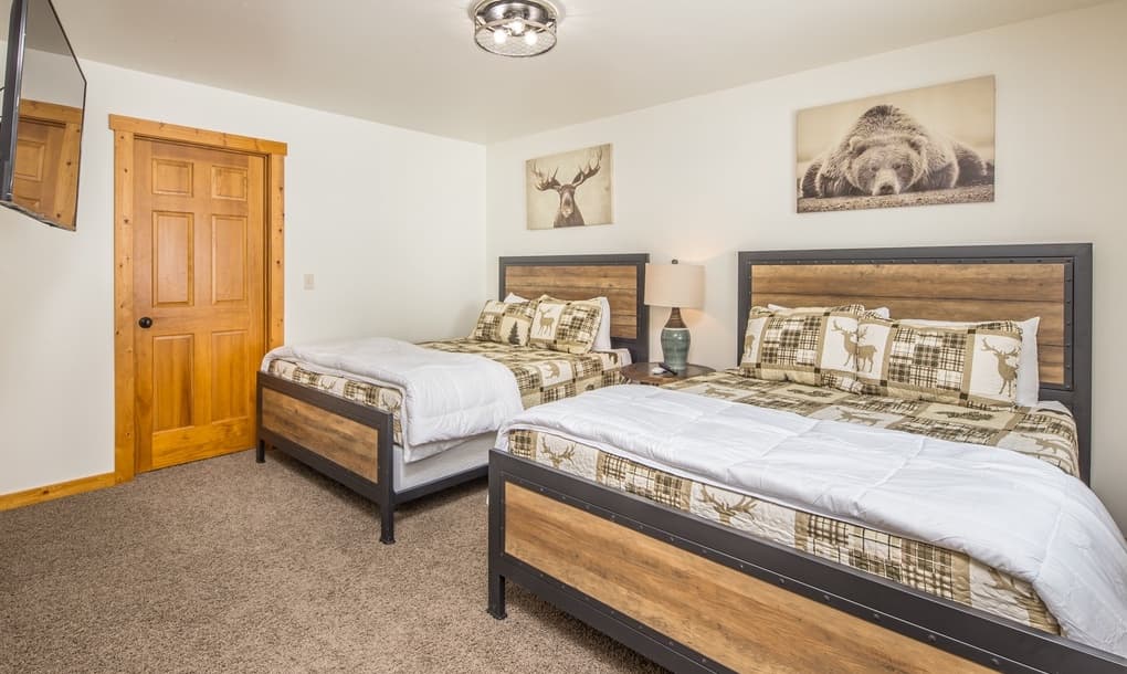 Blacktail Buck - Image 18