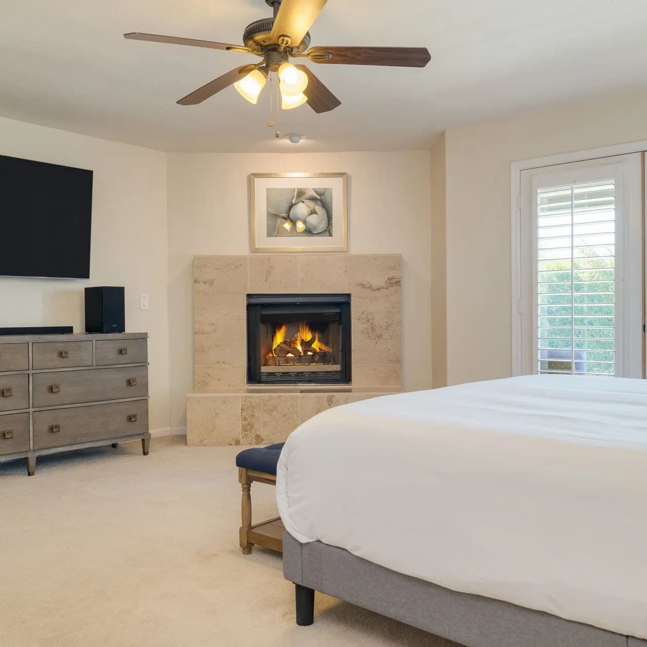 Sonoran Sunshine - Image 16