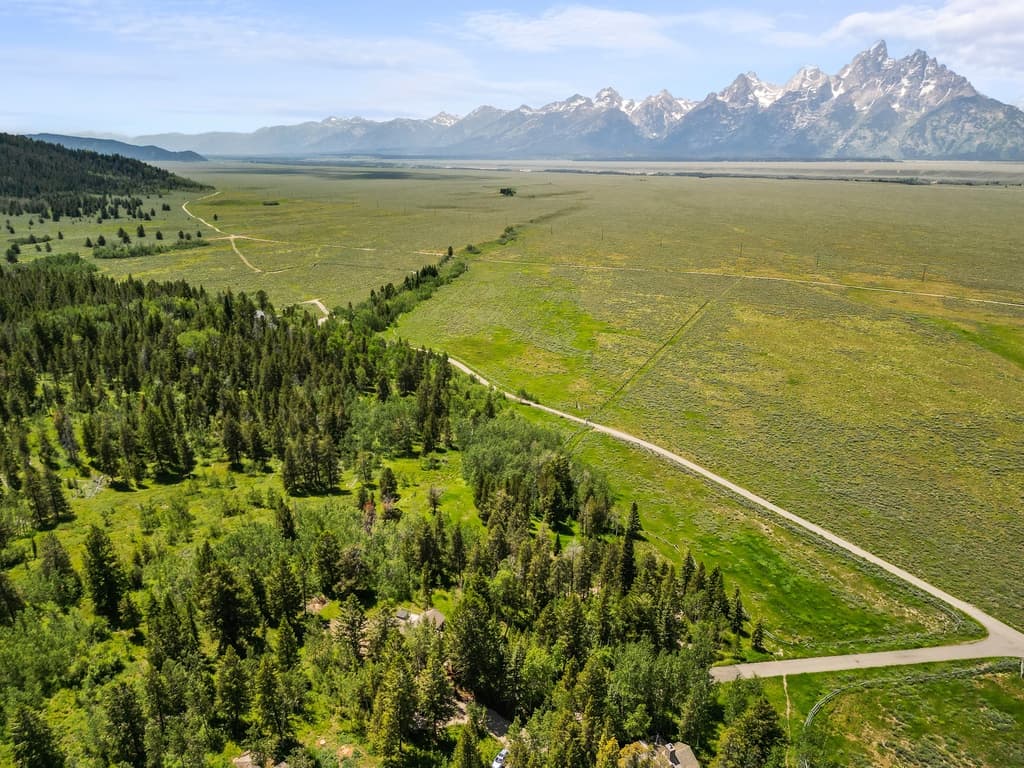 Seasonal Therapy - Image 20