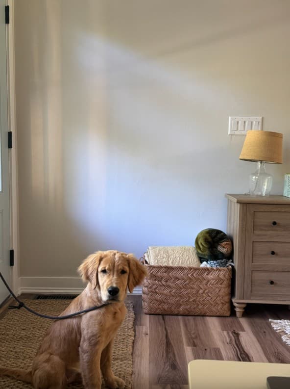 Bearly Hare Cottage - Image 6