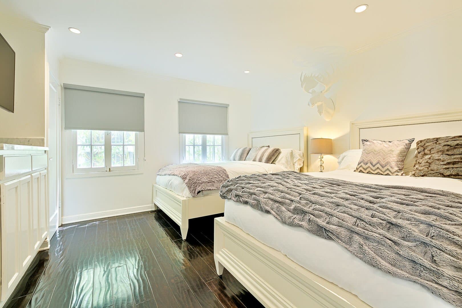 Olive Branch - Image 20