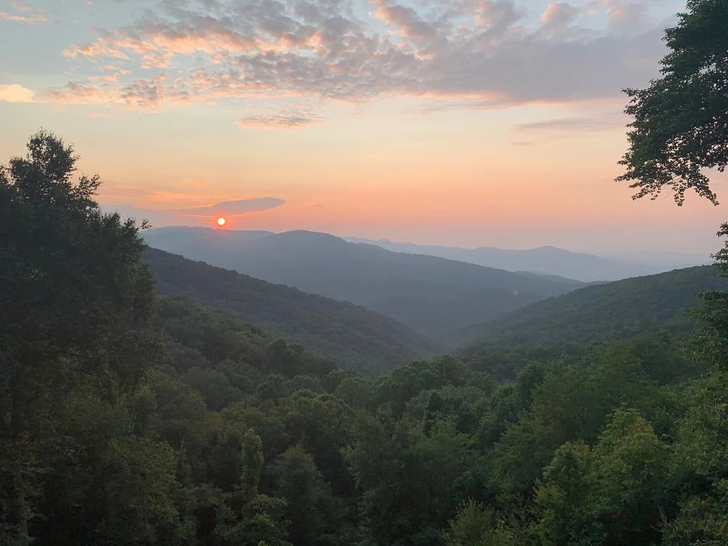 Owls Nest - Image 28