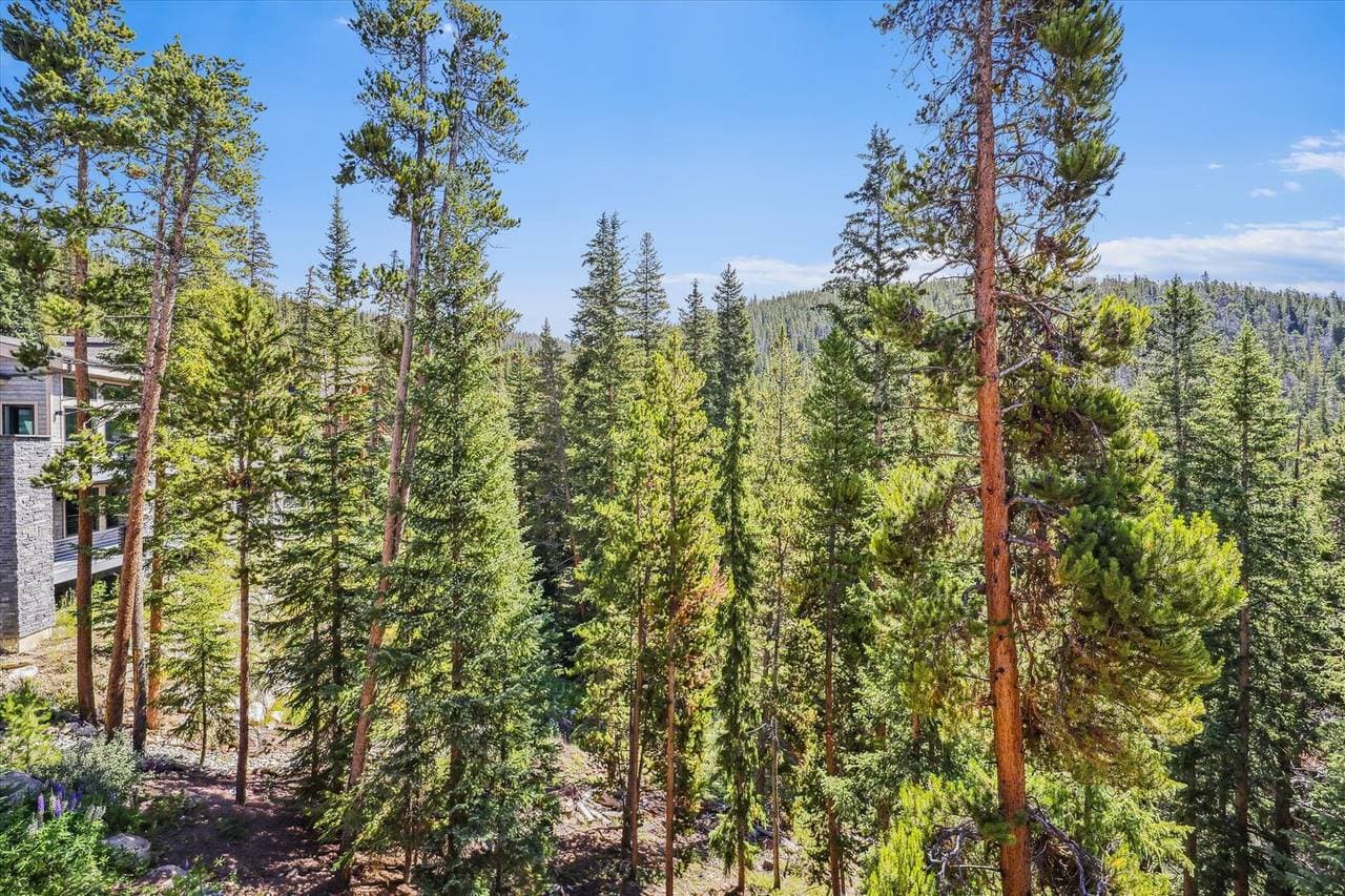 Modern Log Cabin - Image 47