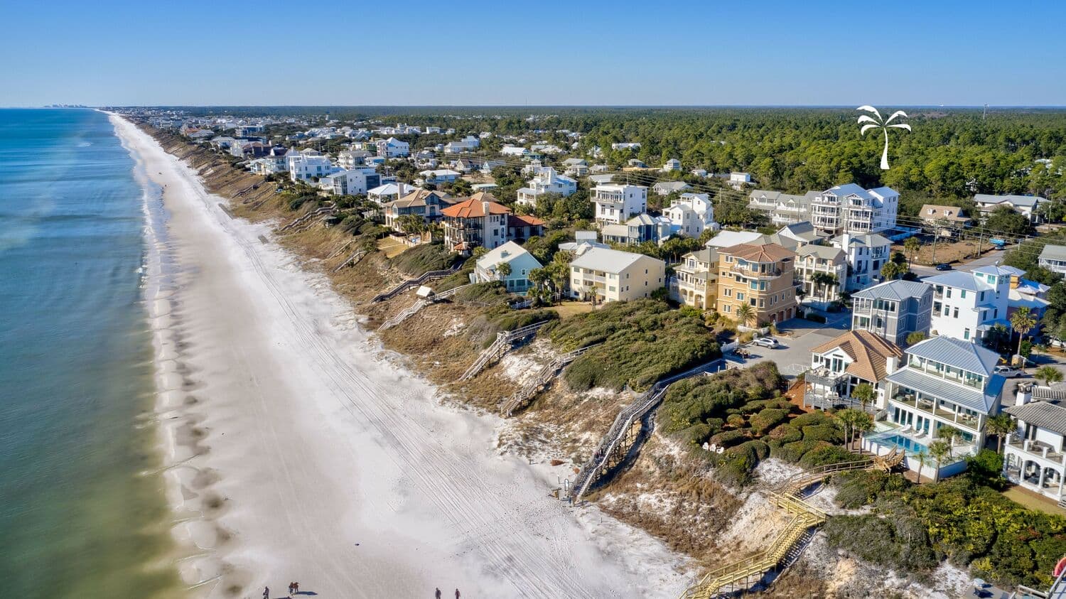 Summer Wind - Image 2