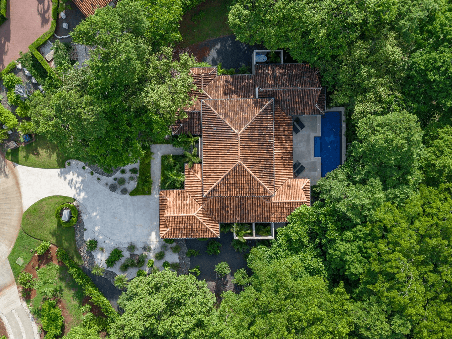 Casa de Los Monos - Image 28