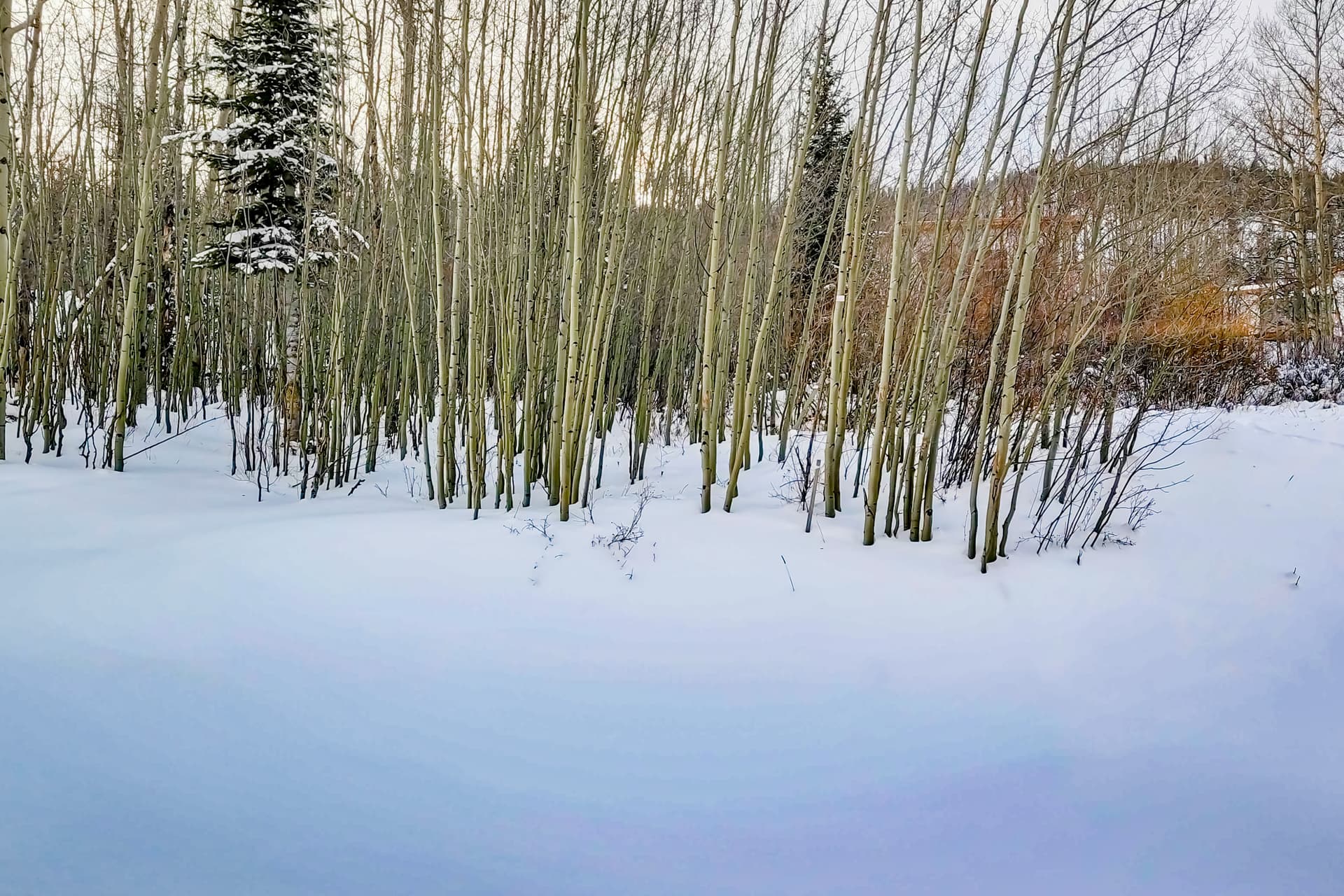 Slice of Silverthorne House - Image 29