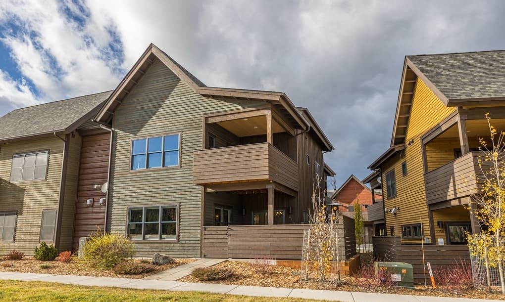 Pheasant Tail #225A - Image 3