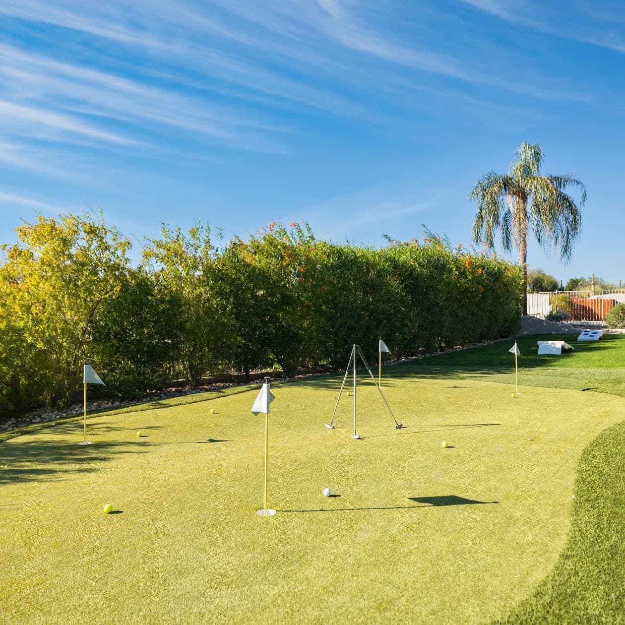 Sonoran Sunshine - Image 2