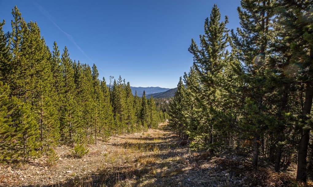 Saddle Ridge R2  - Image 37