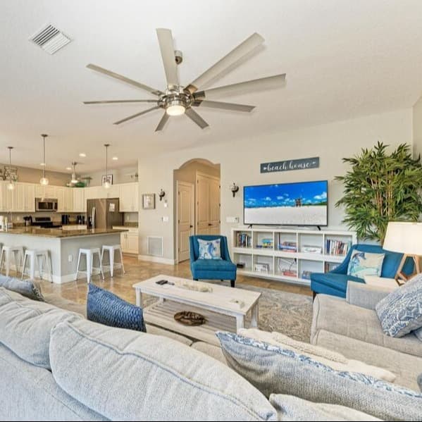 Island Nautilus - Image 3