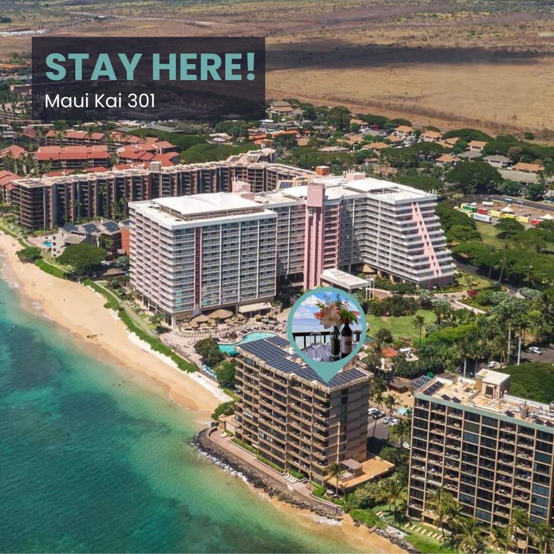 Maui Kai #301 - Image 2