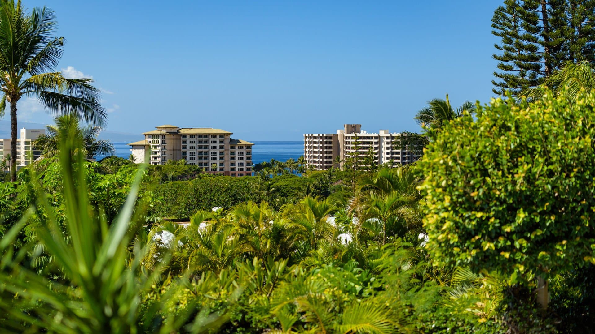 Summit Residence - Image 52