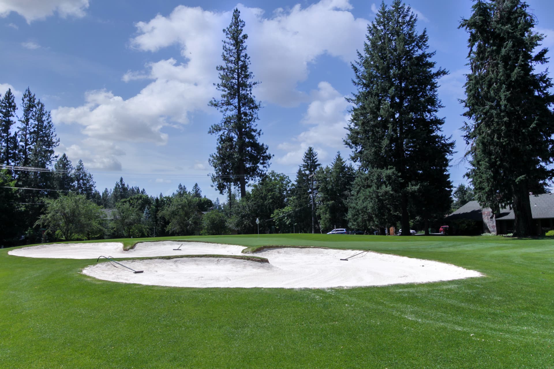 DeJa View - Image 58