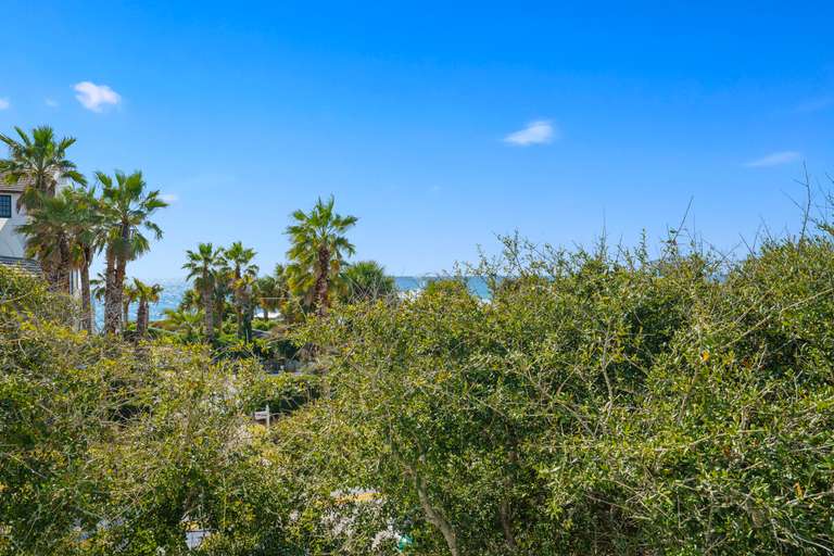 Sunny Bunny - Image 30