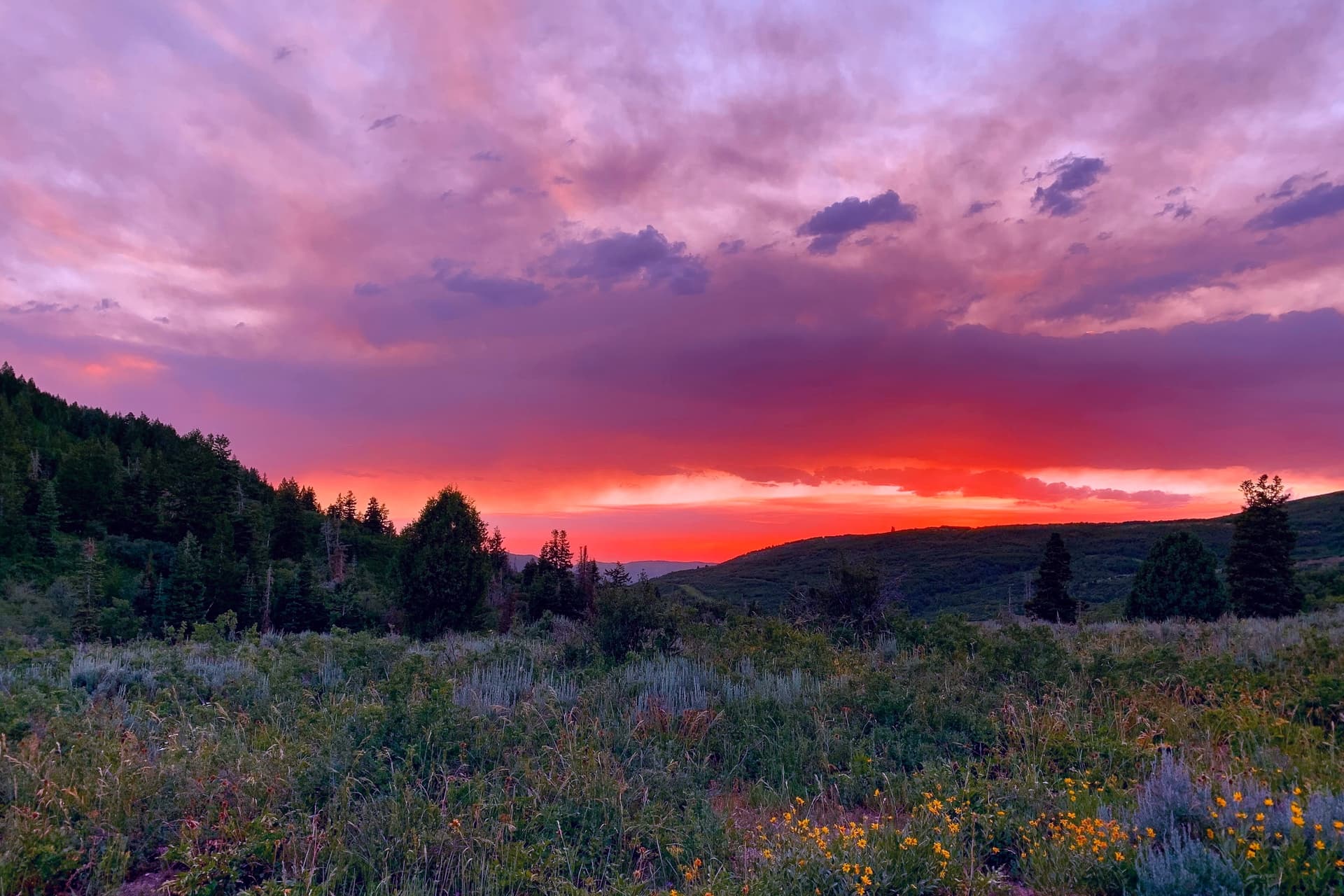 Family Mountain Staycation - Image 47