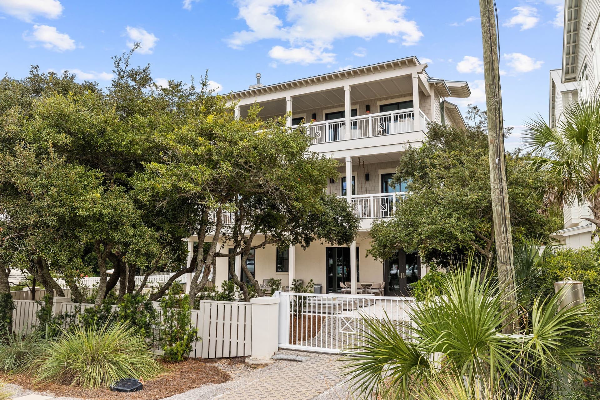 Eyes on Sunrise - Image 4