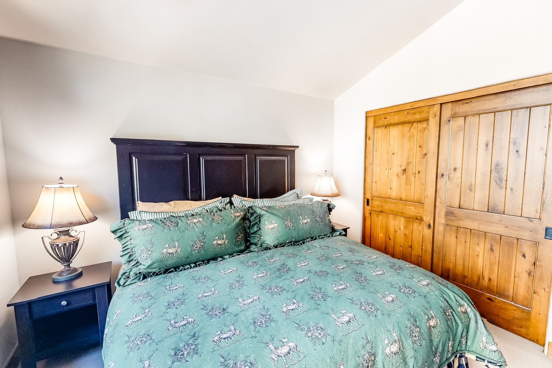 Luxury Mountain Townhome - Image 5