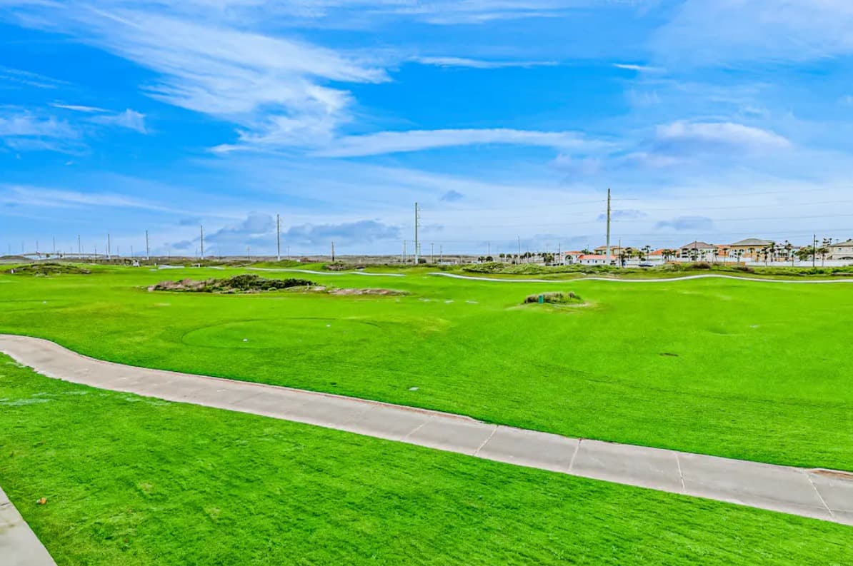 Spanish Dagger Serenity - Image 23