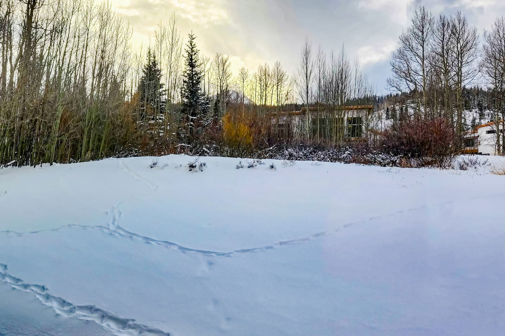 Slice of Silverthorne House - Image 30