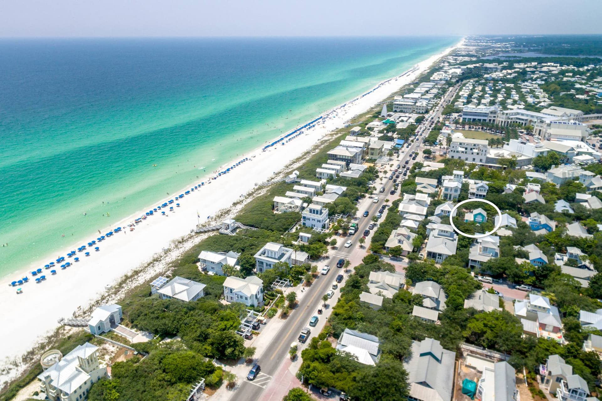 Salty Dogs House - Image 41