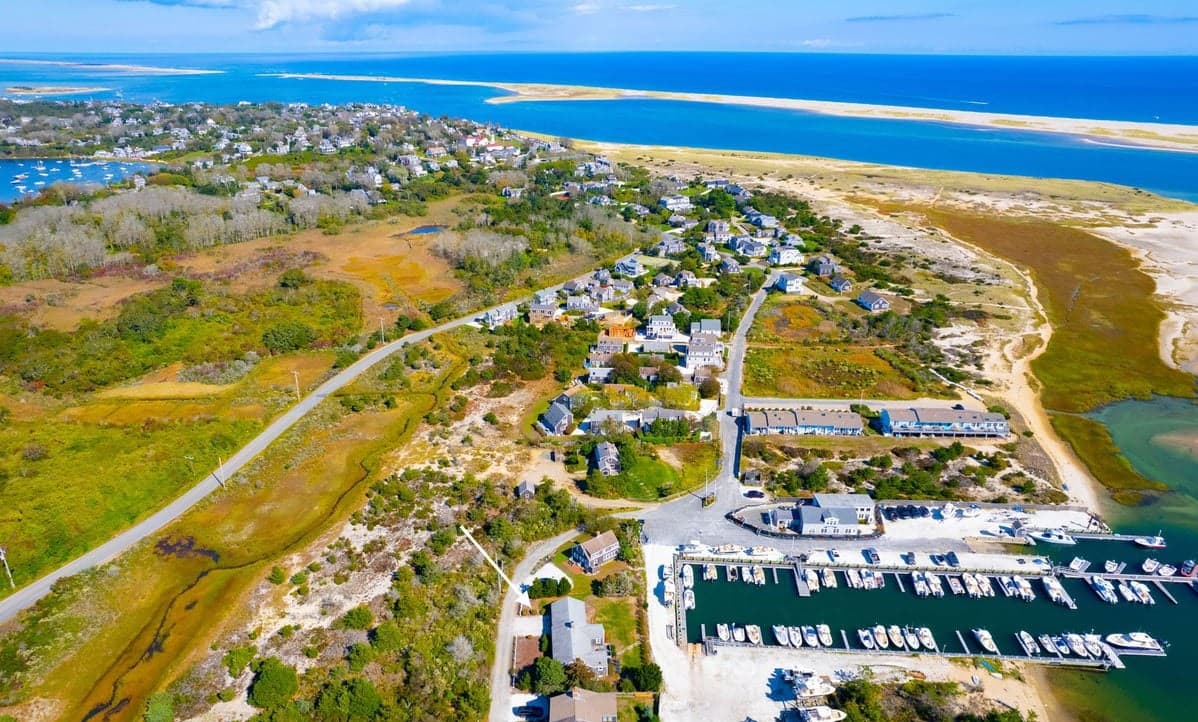 Whale Song - Image 24