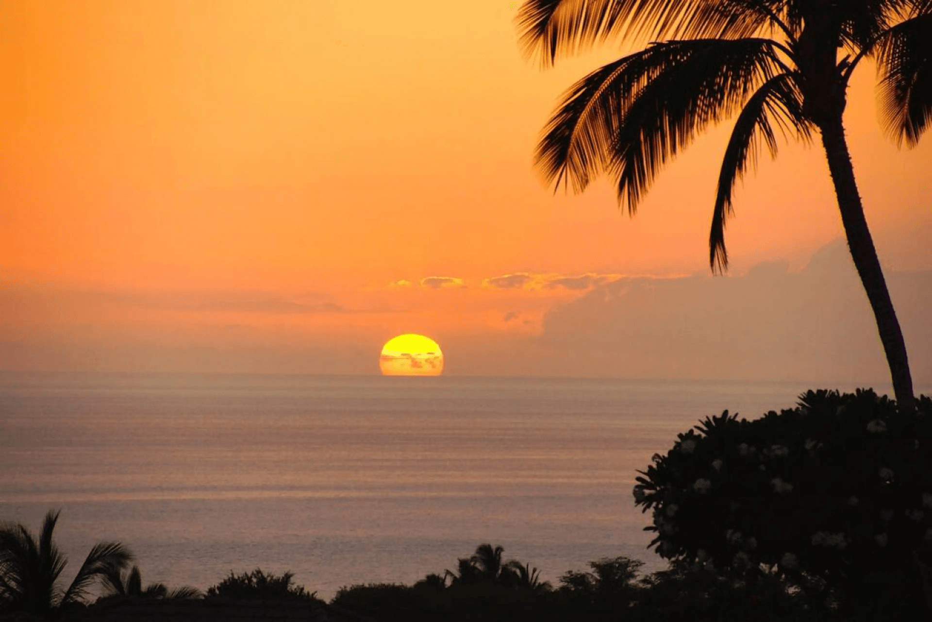 Wai'ula'ula A101 - Image 32