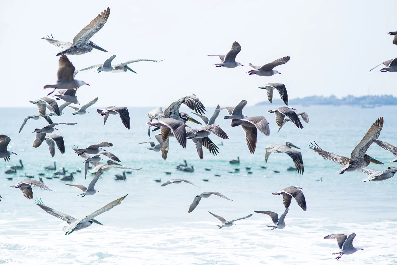 Pacifica Punta Place - Image 138