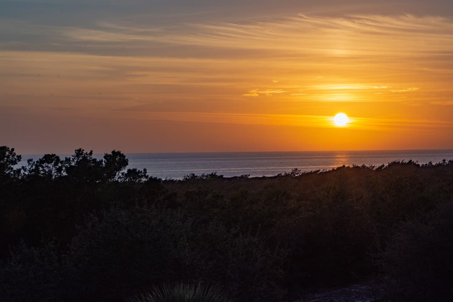 Sandstone - Image 79