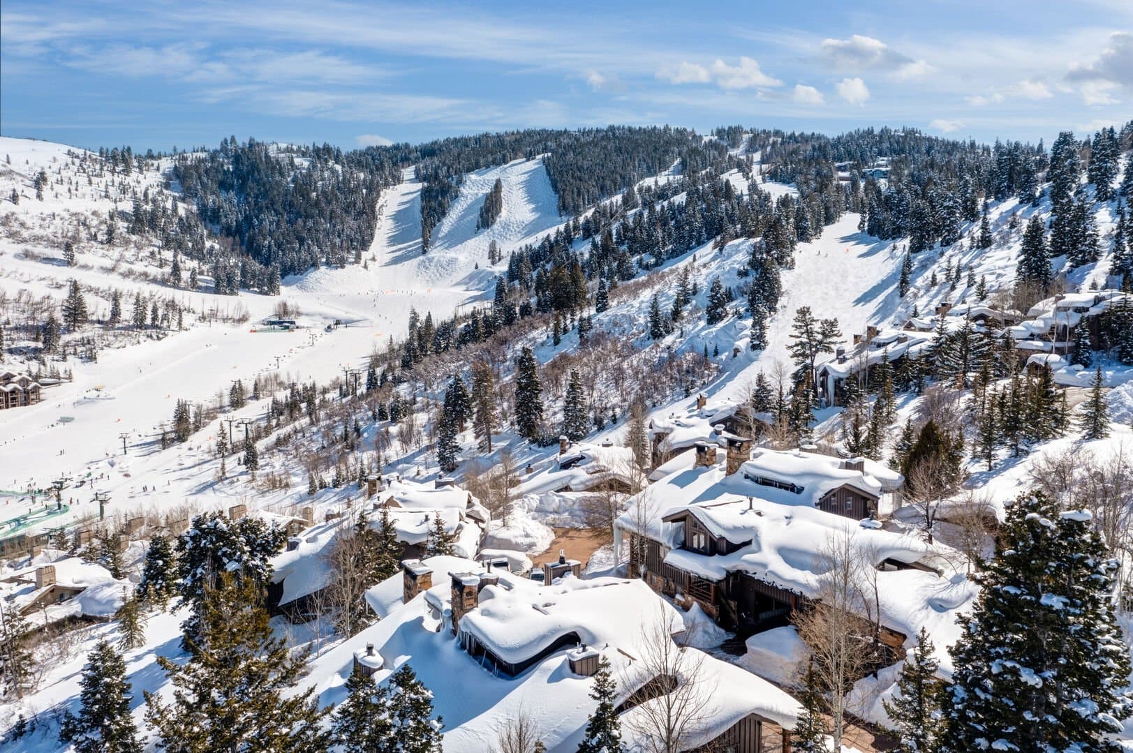 Success View - Image 46