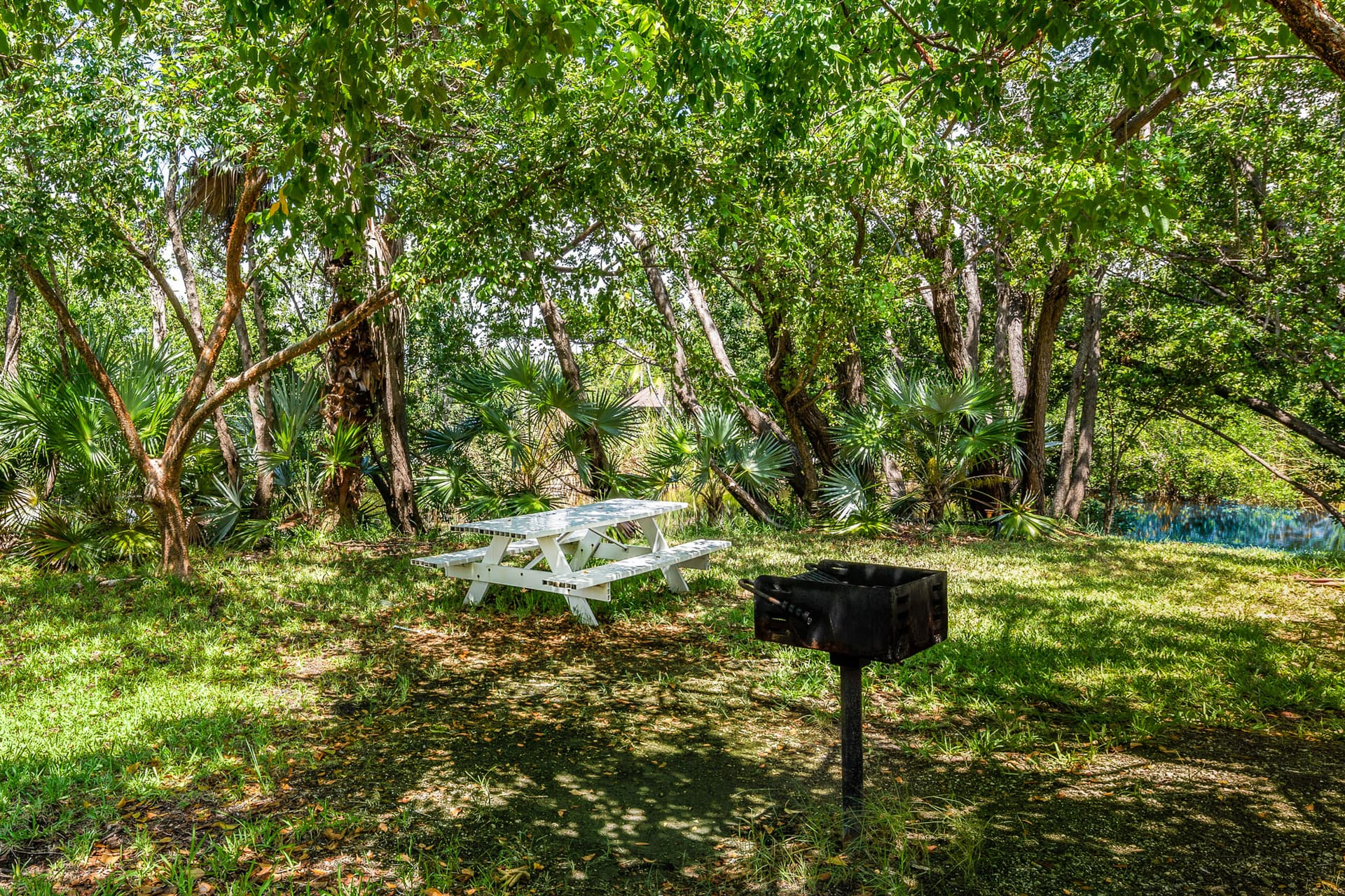 Cayo Coco Suite - Image 22