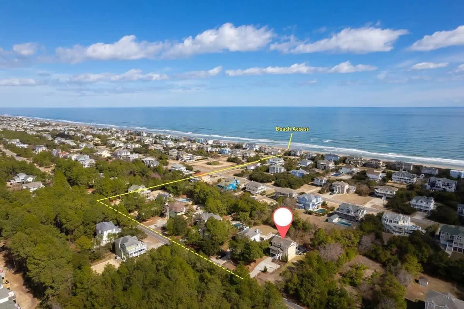 Yellow Lotus - Image 3