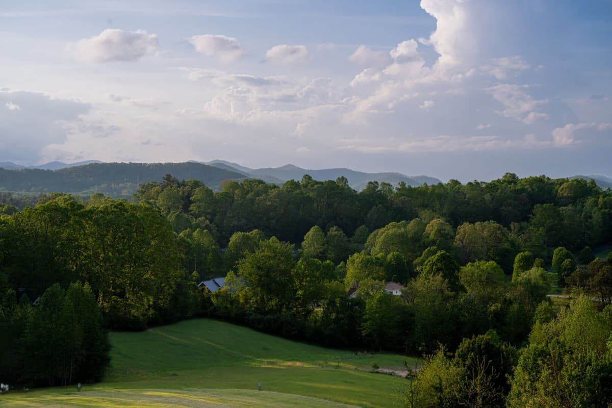 Bridlewood Farm - Image 77