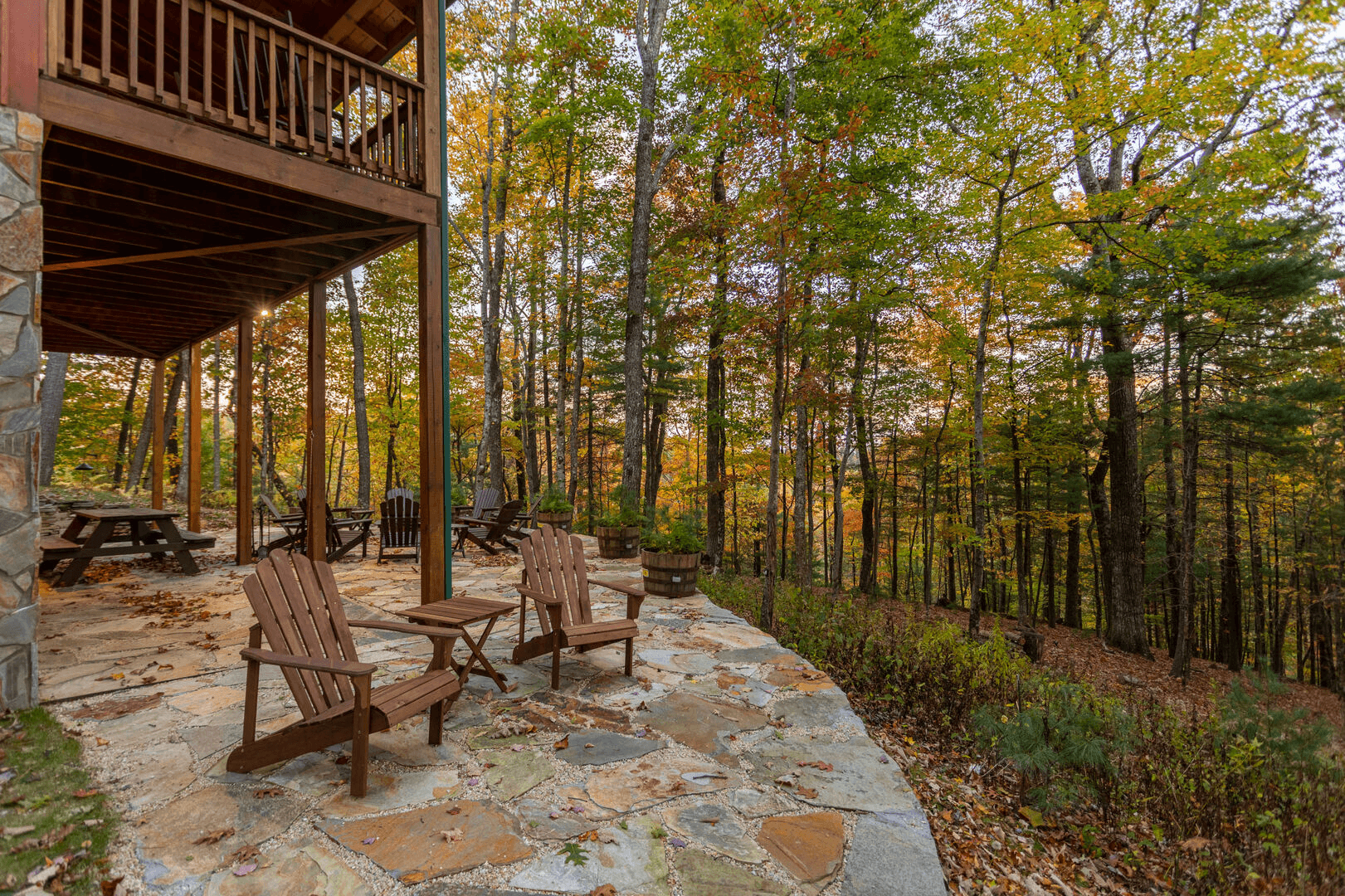 Bearadise at Blue Ridge - Image 29