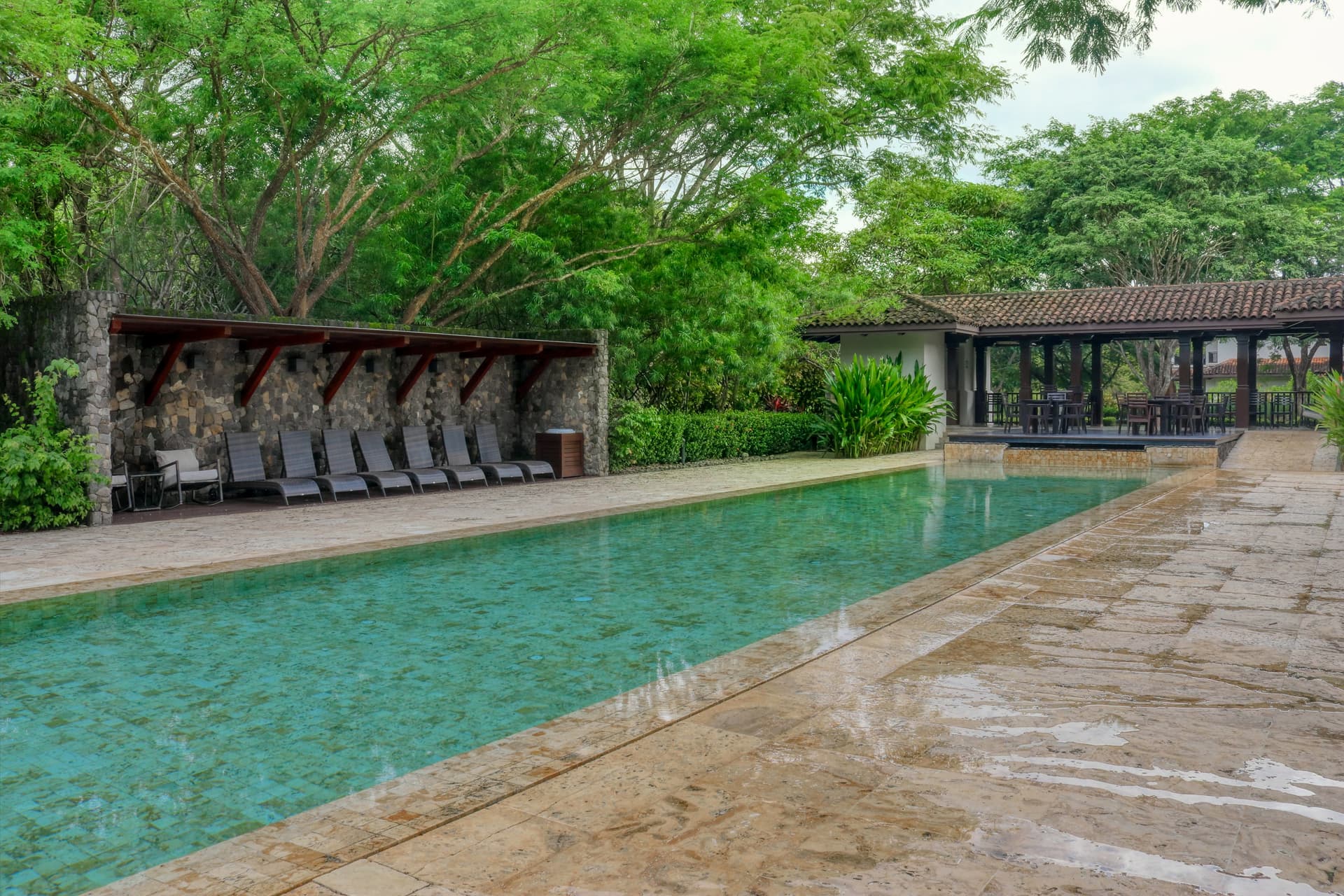 Pinilla Flor de Malinche - Image 47