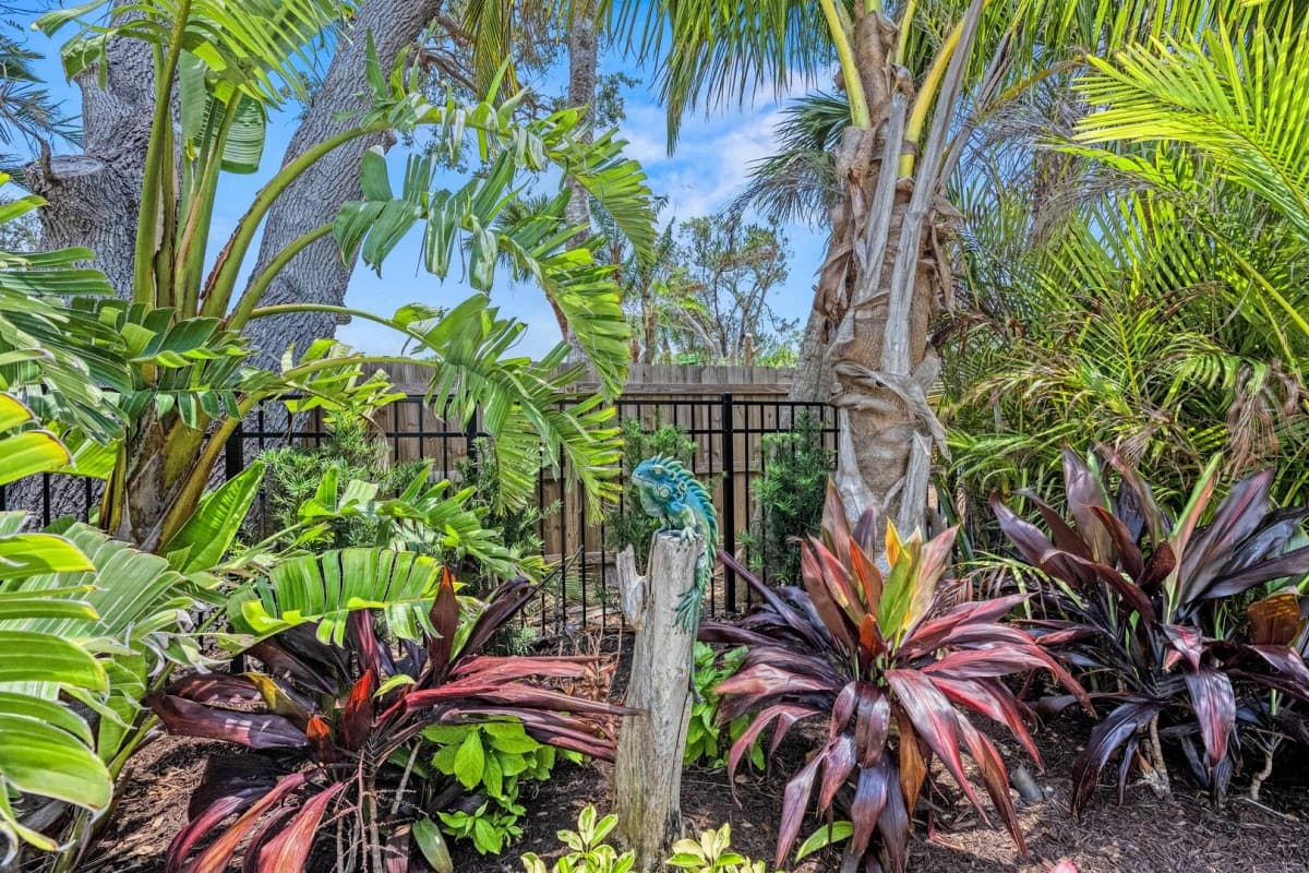 Beach Palm House - Image 57