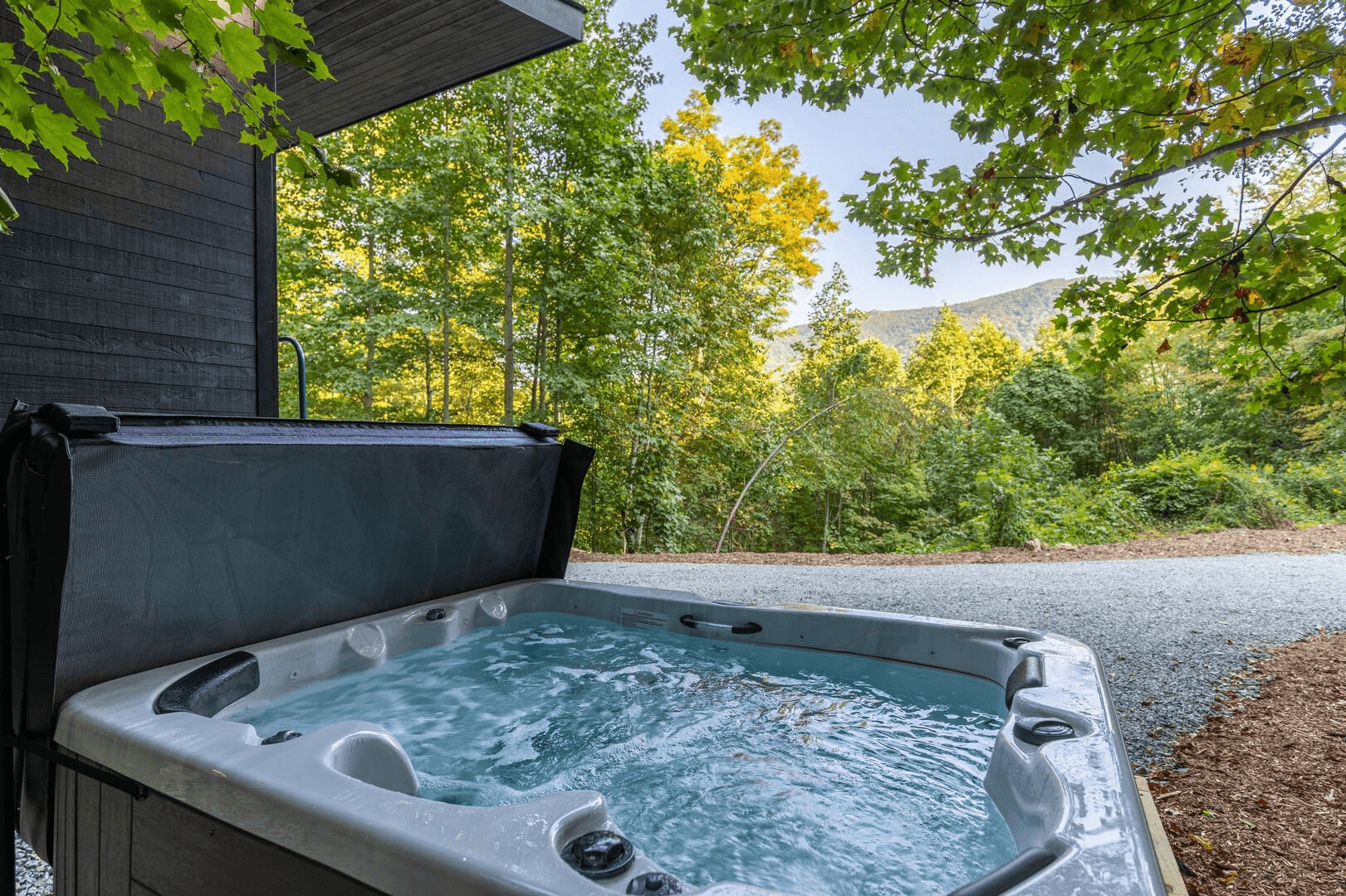 Little Bear Escape - Image 13