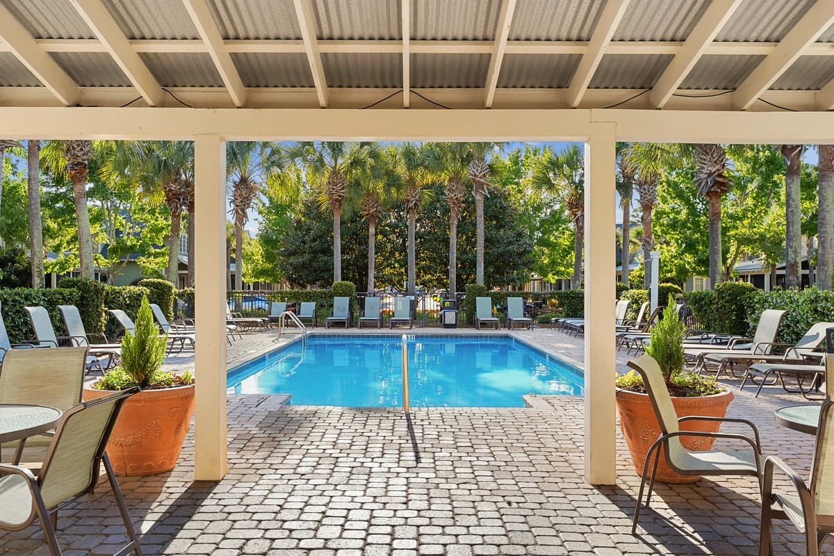 Coral Starfish - Image 25