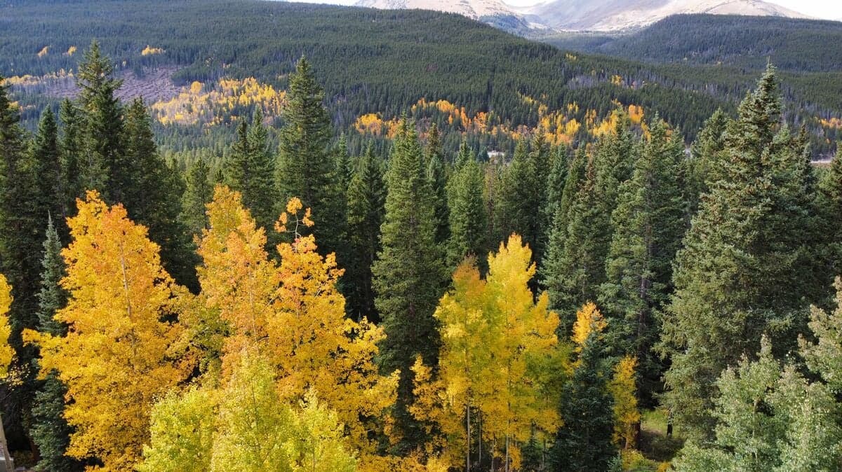 Creekside Chateau - Image 68