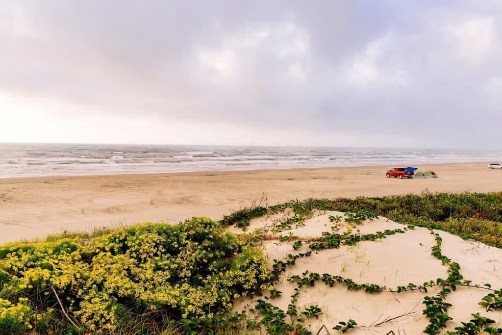 Villa Palmilla - Image 24